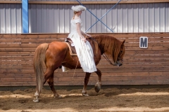 hdv2008_5130