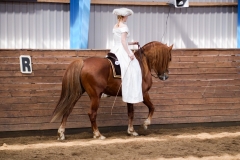 hdv2008_5131