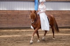 hdv2008_5134