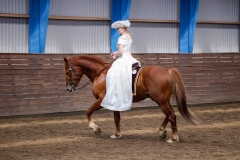 hdv2008_5137