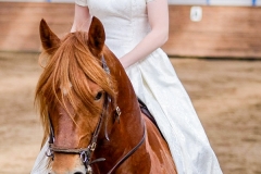 hdv2008_5139
