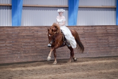 hdv2008_5148