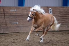 hdv2008_5348