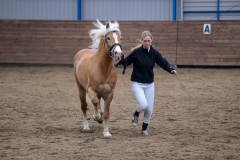 hdv2008_5424