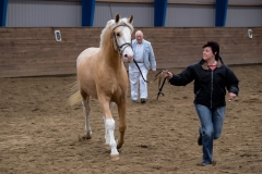 hdv2008_5480