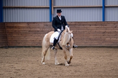 hdv2008_5544