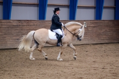 hdv2008_5574