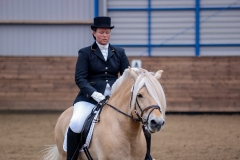 hdv2008_5578