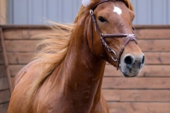 hdv2008_6053