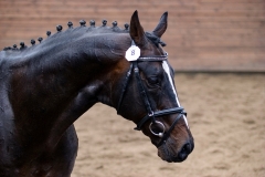 hdv2008_6122