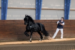 hdv2009_3213