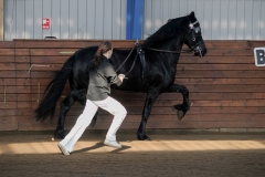 hdv2009_3225