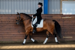 hdv2009_3227