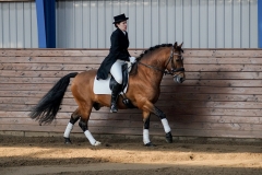 hdv2009_3238