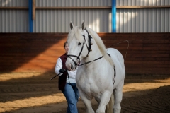hdv2009_3258