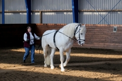 hdv2009_3266