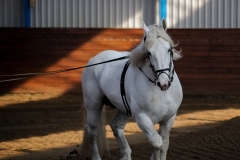 hdv2009_3276