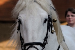 hdv2009_3282