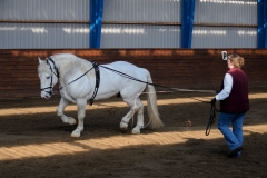 hdv2009_3288