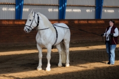 hdv2009_3294