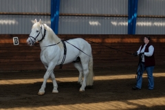 hdv2009_3300