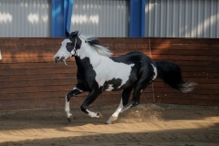 hdv2009_3317