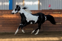 hdv2009_3327