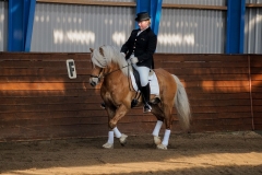 hdv2009_3338