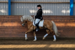 hdv2009_3342
