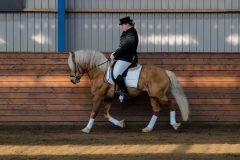 hdv2009_3343