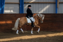 hdv2009_3349