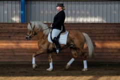hdv2009_3374