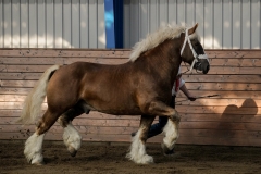 hdv2009_3375