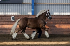 hdv2009_3376