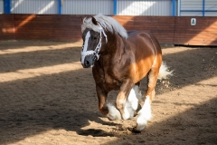 hdv2009_3385