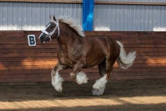 hdv2009_3402