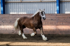 hdv2009_3408