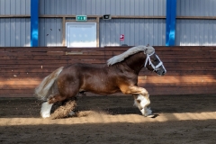 hdv2009_3435