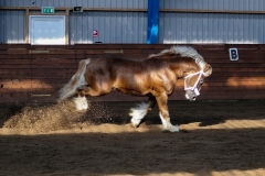 hdv2009_3436