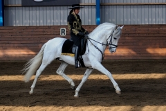 hdv2009_3446