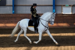hdv2009_3447