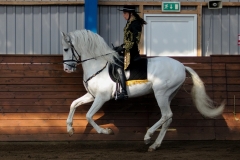 hdv2009_3451