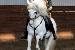 hdv2009_3482