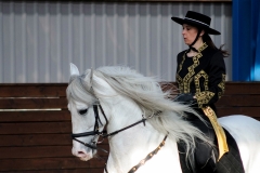 hdv2009_3489