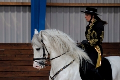 hdv2009_3490
