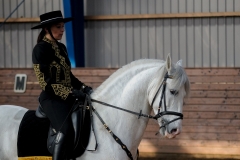 hdv2009_3497