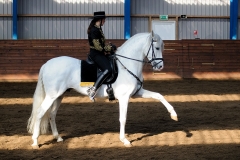 hdv2009_3501