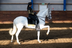 hdv2009_3502