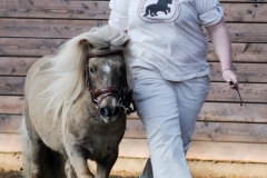 hdv2009_3512