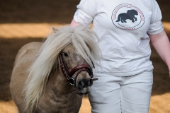 hdv2009_3520